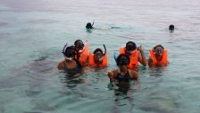Snorkeling at Balicasag Island, Panglao